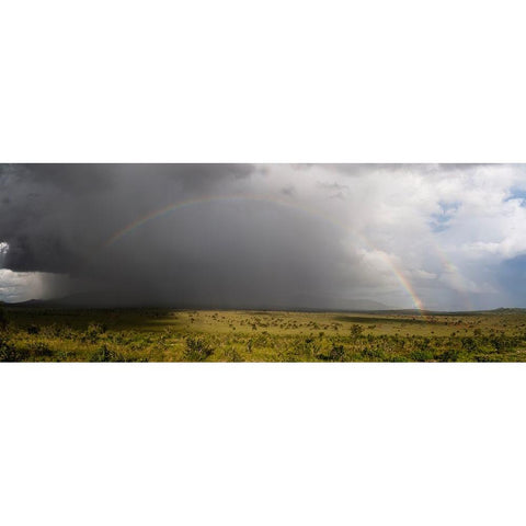A rainbow over the savannah-Tsavo-Kenya White Modern Wood Framed Art Print by Pitamitz, Sergio