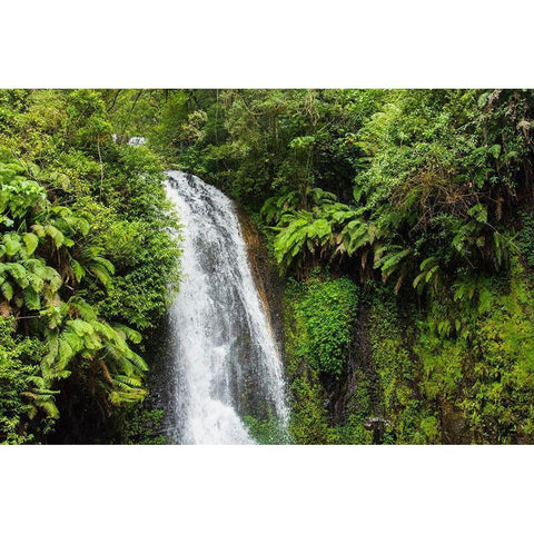 Madagascar-Antsiranana Amber Mountain National Park waterfall White Modern Wood Framed Art Print by Hogstrom, Inger