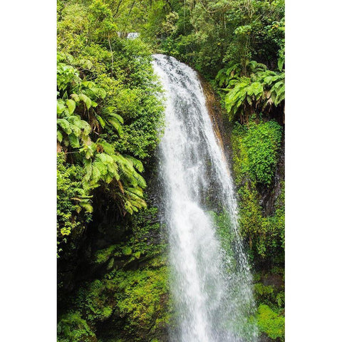 Madagascar-Antsiranana Amber Mountain National Park waterfall Black Modern Wood Framed Art Print by Hogstrom, Inger