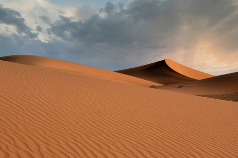 Sand dunes glow orange at sunset in the Sahara Desert. Black Modern Wood Framed Art Print by Sederquist, Betty