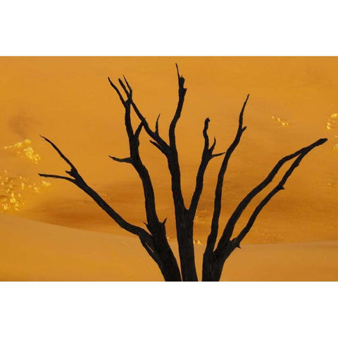 Dead tree, Dead Vlei, Sossusvlei, Namibia Black Modern Wood Framed Art Print by Kaveney, Wendy