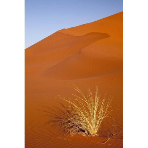 Grass and reddish sand dune, Sossusvlei, Namibia White Modern Wood Framed Art Print by Kaveney, Wendy