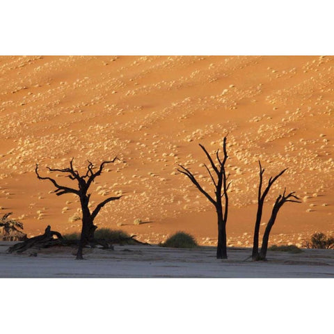 Dead tree, Dead Vlei, Sossusvlei, Namibia Black Modern Wood Framed Art Print by Kaveney, Wendy