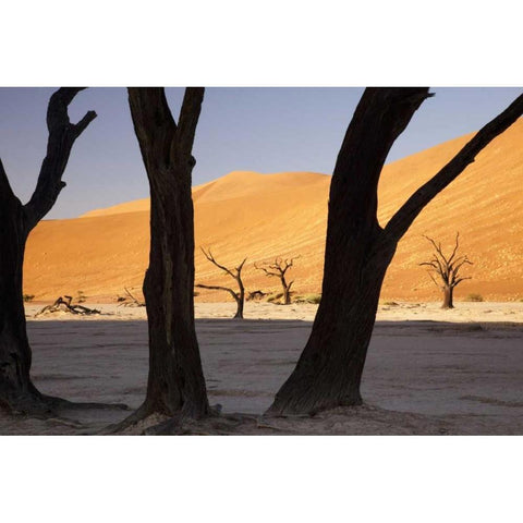 Tree and dunes, Dead Vlei, Sossusvlei, Namibia Black Modern Wood Framed Art Print by Kaveney, Wendy