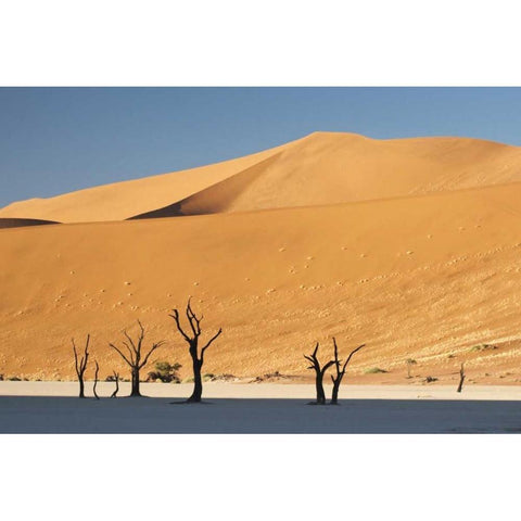 Sunrise on trees and dunes at Dead Vlei, Namibia Black Modern Wood Framed Art Print by Kaveney, Wendy