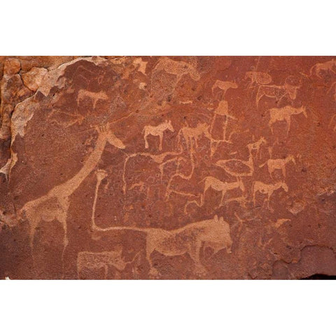 Petroglyphs, Twyfelfontein, Damaraland, Namibia Black Modern Wood Framed Art Print by Young, Bill