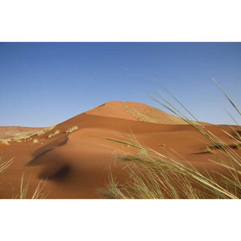 Sand Dunes, Namib Naukluft, Namib Desert, Namibia Black Modern Wood Framed Art Print with Double Matting by Young, Bill