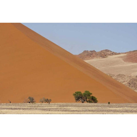 Sand Dunes, Namib Naukluft, Namib Desert, Namibia Black Modern Wood Framed Art Print by Young, Bill