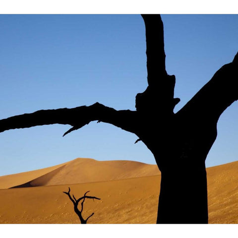 Namibia, Sossusvlei Dead trees with sand dune Gold Ornate Wood Framed Art Print with Double Matting by Kaveney, Wendy