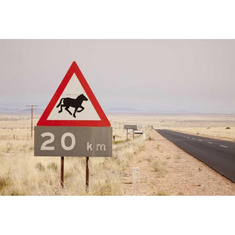 Namibia, Aus Wild horse warning sign Black Modern Wood Framed Art Print by Kaveney, Wendy