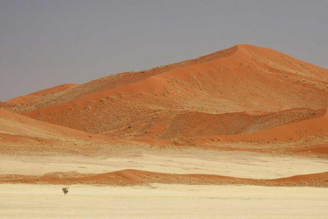 Namibia, Namib Desert Patterns on sand dunes White Modern Wood Framed Art Print with Double Matting by Kaveney, Wendy