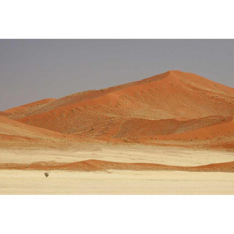 Namibia, Namib Desert Patterns on sand dunes Black Modern Wood Framed Art Print by Kaveney, Wendy