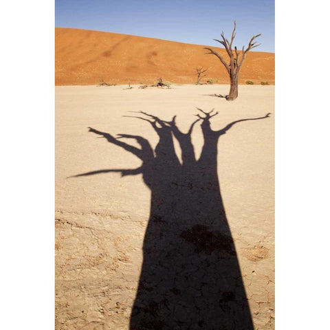 Namibia, Sossusvlei Dead tree casts shadow Black Modern Wood Framed Art Print by Kaveney, Wendy