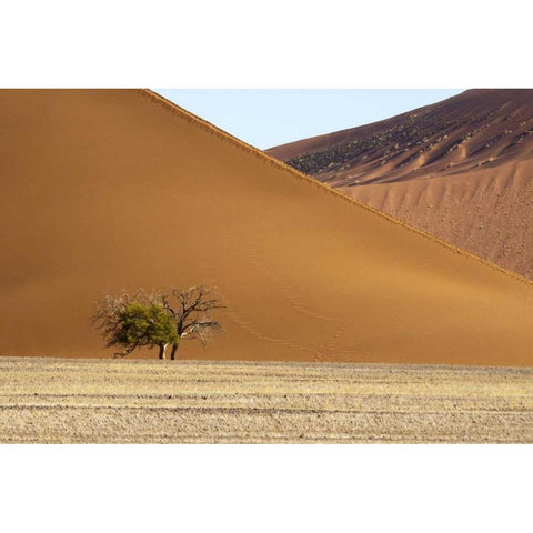 Namibia, Sossusvlei Contrasting sand dunes Black Modern Wood Framed Art Print with Double Matting by Kaveney, Wendy