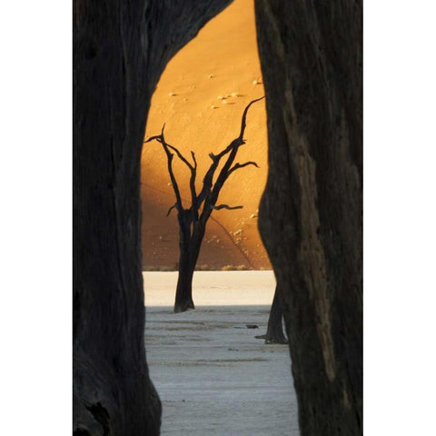 Trees and dunes, Dead Vlei, Sossusvlei, Namibia Black Modern Wood Framed Art Print by Kaveney, Wendy