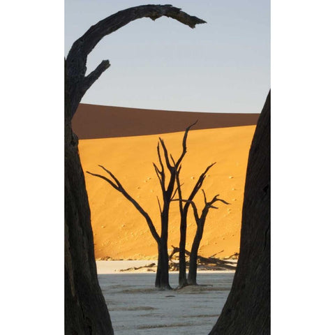 Trees and dunes, Dead Vlei, Sossusvlei, Namibia White Modern Wood Framed Art Print by Kaveney, Wendy