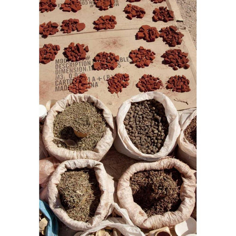 Namibia, Opuwo Fragrant herbs and ochre Black Modern Wood Framed Art Print with Double Matting by Kaveney, Wendy