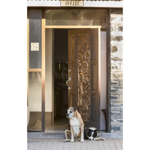 Africa, Namibia Dogs at door entrance Black Modern Wood Framed Art Print by Kaveney, Wendy