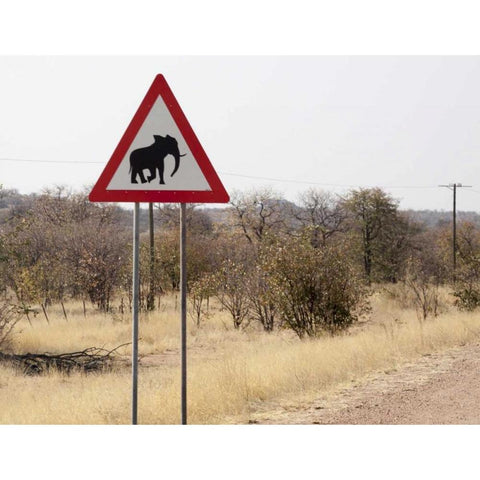 Namibia, Damaraland Sign warning about elephants Black Modern Wood Framed Art Print by Kaveney, Wendy