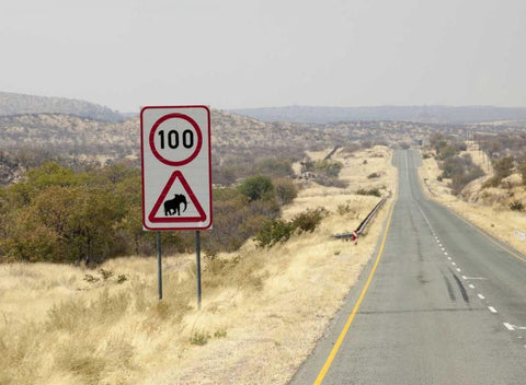 Namibia, Etosha NP Speed limit and caution sign White Modern Wood Framed Art Print with Double Matting by Kaveney, Wendy