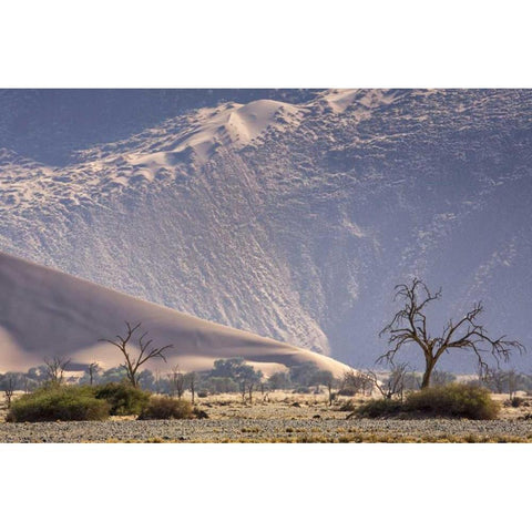 Namibia, Namib-Naukluft Sand dunes and trees Black Modern Wood Framed Art Print by Kaveney, Wendy