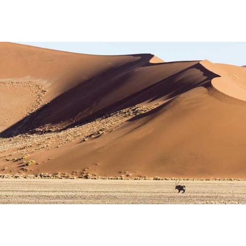 Namibia, Namib-Naukluft Park Sand dunes and Oryx White Modern Wood Framed Art Print by Kaveney, Wendy