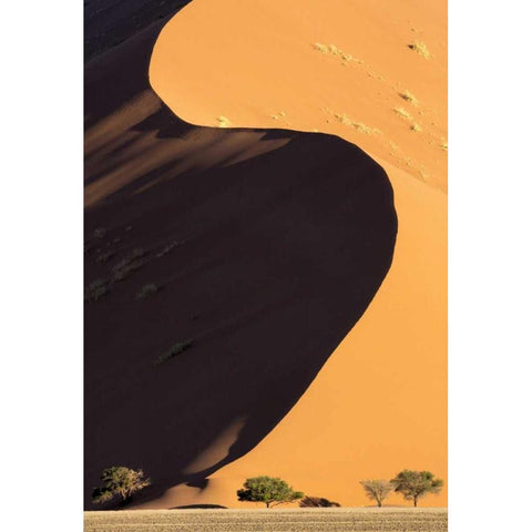 Namibia, Namib-Naukluft Park Sand dune and trees Black Modern Wood Framed Art Print by Kaveney, Wendy