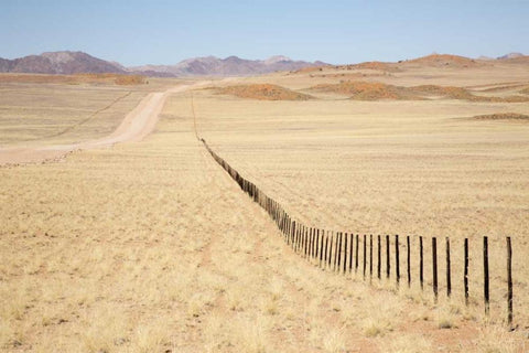 Namibia, Namib Desert Road and fence in desert Black Ornate Wood Framed Art Print with Double Matting by Kaveney, Wendy