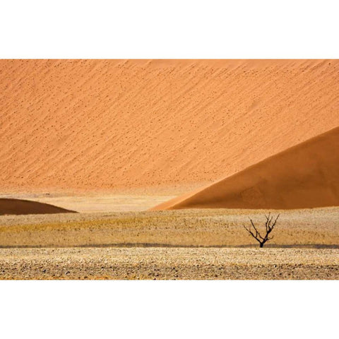 Namibia, Namib-Naukluft Sand dunes and dead tree Black Modern Wood Framed Art Print by Kaveney, Wendy