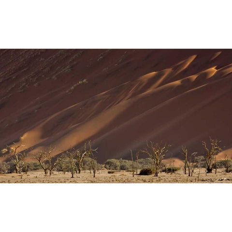 Namibia, Namib-Naukluft Dunes and skeleton trees White Modern Wood Framed Art Print by Kaveney, Wendy