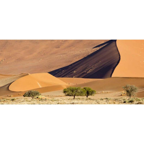 Namibia, Namib-Naukluft Park Sand dunes and tree Black Modern Wood Framed Art Print by Kaveney, Wendy