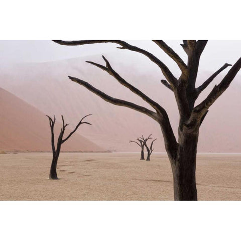 Namibia, Namib-Naukluft, Deadvlei Misty Morning White Modern Wood Framed Art Print by Kaveney, Wendy