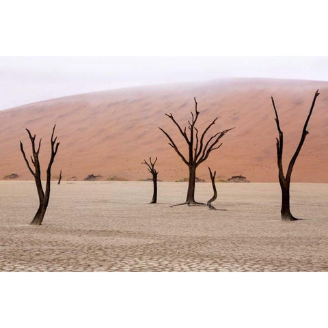 Namibia, Namib-Naukluft, Deadvlei Misty Morning Black Modern Wood Framed Art Print by Kaveney, Wendy