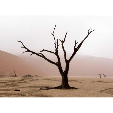 Namibia, Namib-Naukluft, Deadvlei Misty Morning White Modern Wood Framed Art Print by Kaveney, Wendy