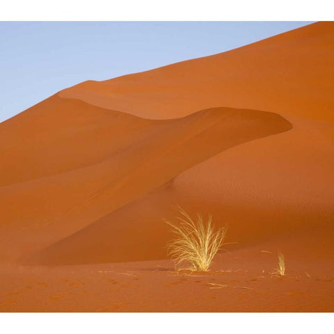 Namibia, Namib-Naukluft Park Grass and sand dune Black Modern Wood Framed Art Print by Kaveney, Wendy