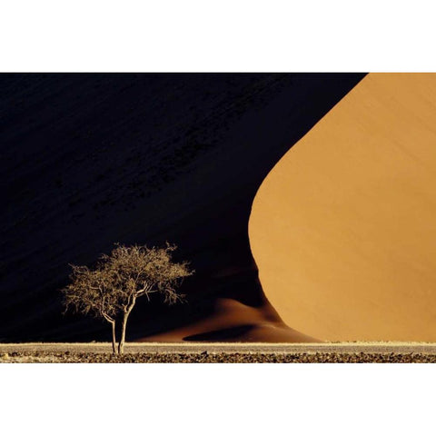 Namibia, Namib-Naukluft Park Red sand dunes White Modern Wood Framed Art Print by Kaveney, Wendy