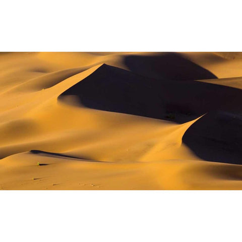 Namibia, Namib-Naukluft NP Abstract of sand dune Black Modern Wood Framed Art Print with Double Matting by Young, Bill