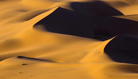 Namibia, Namib-Naukluft NP Abstract of sand dune Black Ornate Wood Framed Art Print with Double Matting by Young, Bill