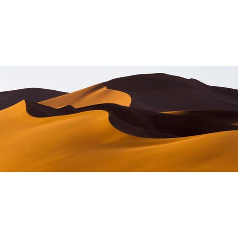 Namibia, Namib-Naukluft NP Abstract of sand dune Black Modern Wood Framed Art Print by Young, Bill