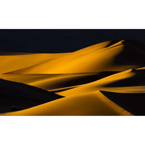 Namibia, Namib-Naukluft NP Abstract of sand dune Gold Ornate Wood Framed Art Print with Double Matting by Young, Bill