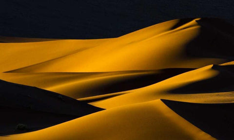Namibia, Namib-Naukluft NP Abstract of sand dune Black Ornate Wood Framed Art Print with Double Matting by Young, Bill