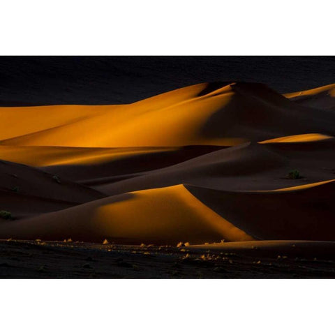 Namibia, Namib-Naukluft NP Abstract of sand dune White Modern Wood Framed Art Print by Young, Bill