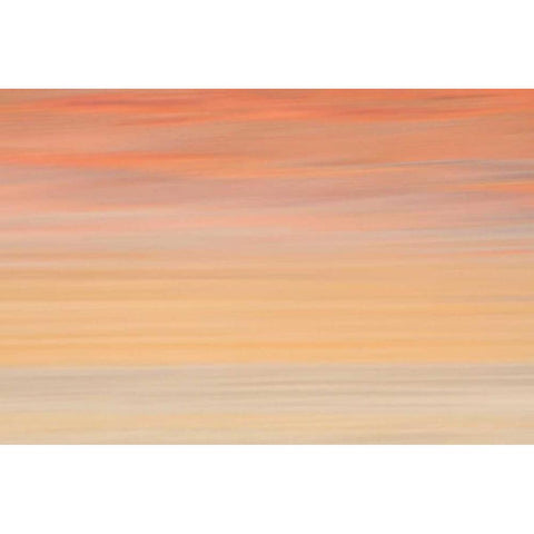 Namibia Abstract of heat distorting grassy plain Gold Ornate Wood Framed Art Print with Double Matting by Young, Bill
