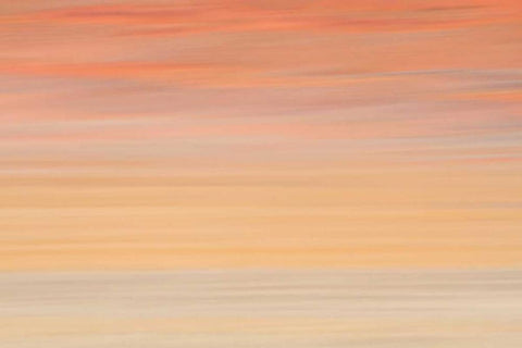 Namibia Abstract of heat distorting grassy plain White Modern Wood Framed Art Print with Double Matting by Young, Bill