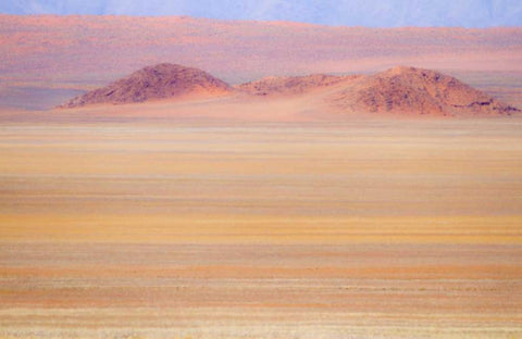 Namibia Heat distorts grassy plain and dunes Black Ornate Wood Framed Art Print with Double Matting by Young, Bill
