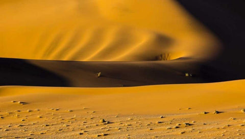 Namibia, Namib-Naukluft NP Abstract of sand dune White Modern Wood Framed Art Print with Double Matting by Young, Bill