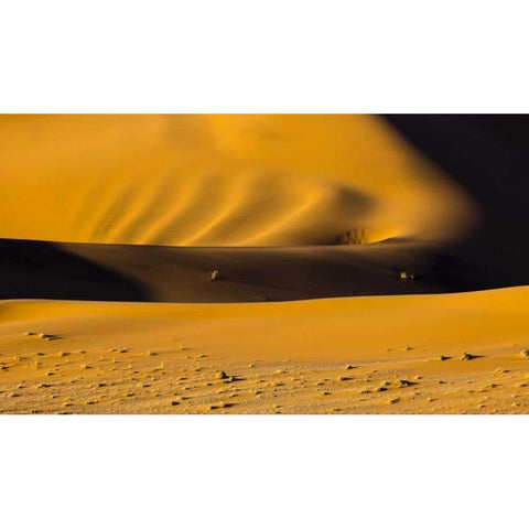 Namibia, Namib-Naukluft NP Abstract of sand dune Black Modern Wood Framed Art Print by Young, Bill