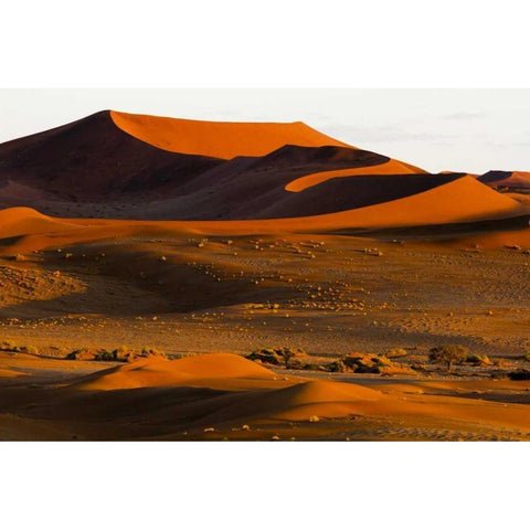 Namibia, Namib-Naukluft NP Abstract of sand dune Black Modern Wood Framed Art Print by Young, Bill