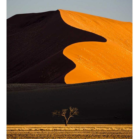 Namibia, Namib-Naukluft NP Abstract of sand dune Gold Ornate Wood Framed Art Print with Double Matting by Young, Bill