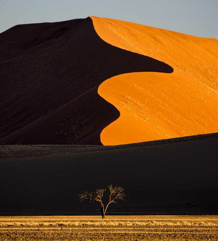Namibia, Namib-Naukluft NP Abstract of sand dune Black Ornate Wood Framed Art Print with Double Matting by Young, Bill